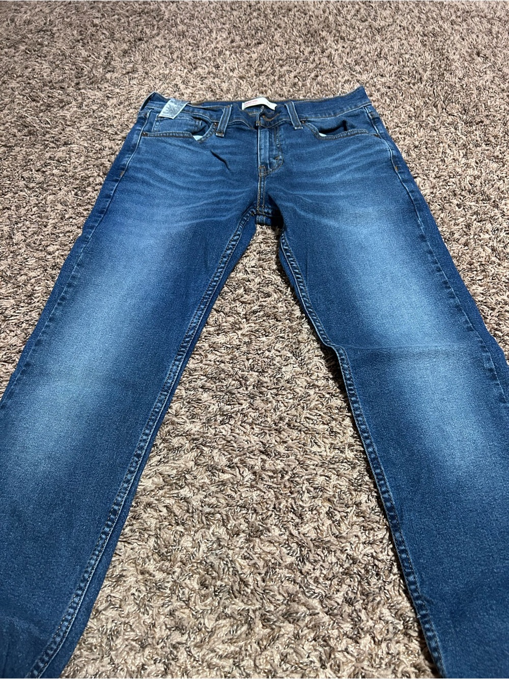 Signature by Levi Strauss Men's Dark Blue Slim Straight Jeans